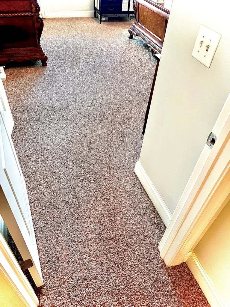 Bedroom carpet near the doorway after deep cleaning