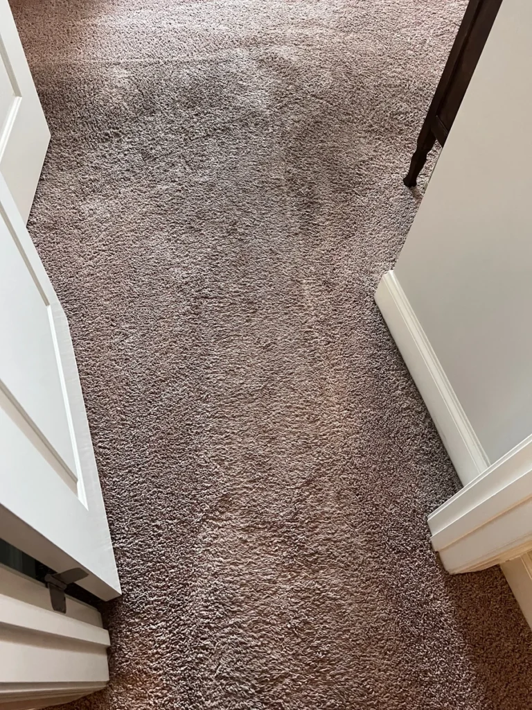 Bedroom carpet with visible discoloration near the doorway before cleaning