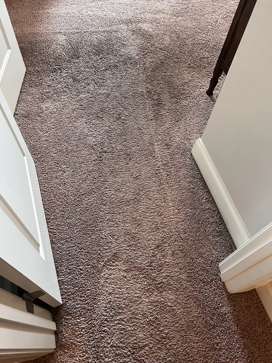 Bedroom carpet with visible discoloration near the doorway before cleaning