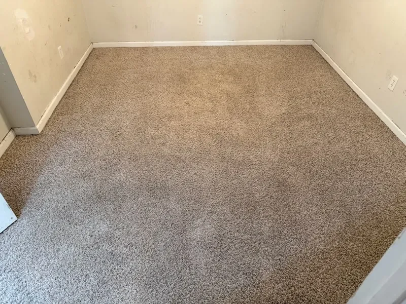 Empty room carpet with a cleaner, more uniform appearance after cleaning